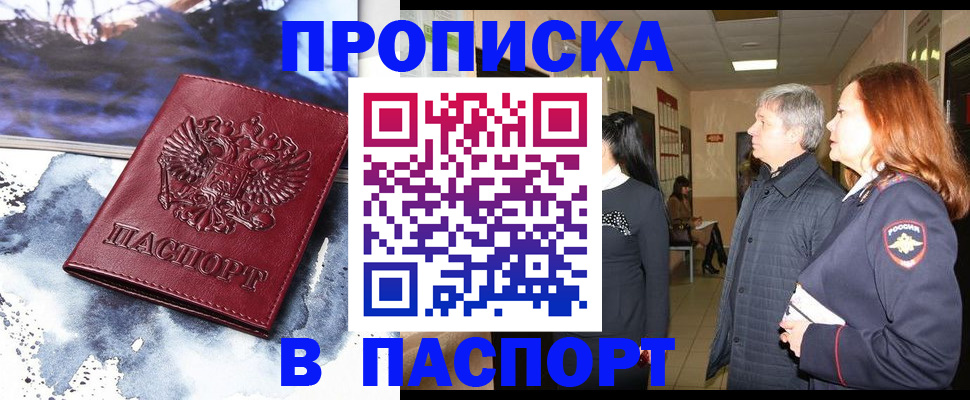 прописка поиск в Щёкино